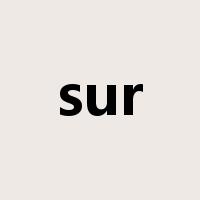 sur是什么意思