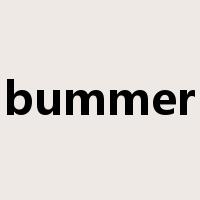 bummer是什么意思