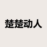 楚楚动人是什么意思