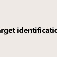 target identification是什么意思