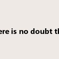 there is no doubt that是什么意思