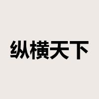 纵横天下是什么意思