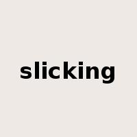 slicking是什么意思