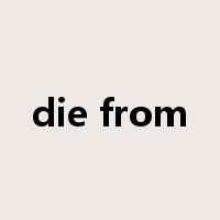 die from是什么意思
