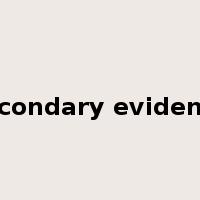 secondary evidence是什么意思