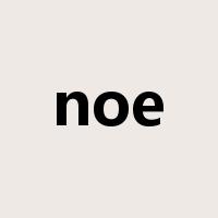 noe是什么意思