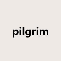 pilgrim是什么意思