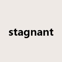 stagnant是什么意思