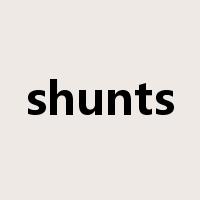 shunts是什么意思