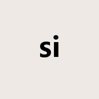 si是什么意思