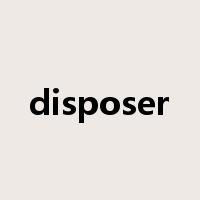 disposer是什么意思