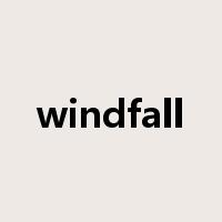 windfall是什么意思
