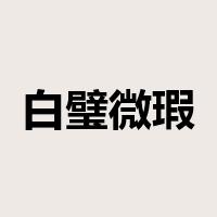 白璧微瑕是什么意思