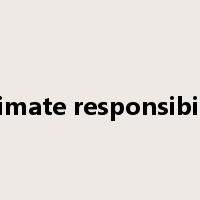 ultimate responsibility是什么意思