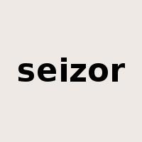 seizor是什么意思