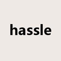 hassle是什么意思