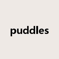 puddles是什么意思