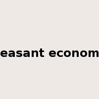 peasant economy是什么意思