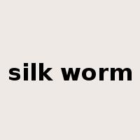 silk worm是什么意思
