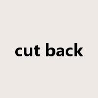 cut back是什么意思