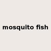 mosquito fish是什么意思