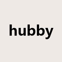 hubby是什么意思