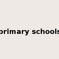 primary schools是什么意思