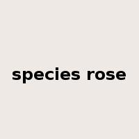 species rose是什么意思