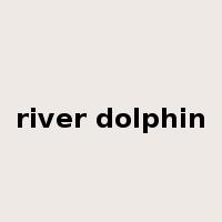 river dolphin是什么意思