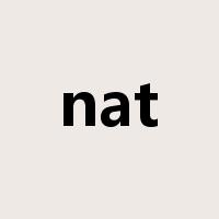 nat是什么意思