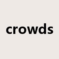 crowds是什么意思