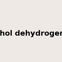 alcohol dehydrogenase是什么意思