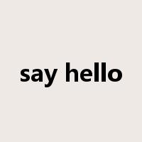 say hello是什么意思