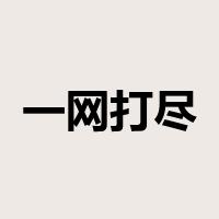 一网打尽是什么意思