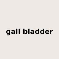 gall bladder是什么意思