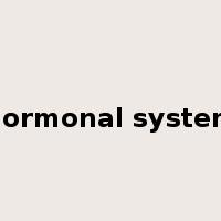 hormonal system是什么意思
