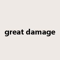 great damage是什么意思