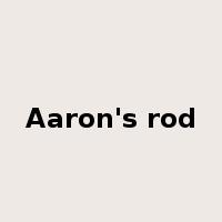 Aaron's rod是什么意思