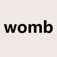 womb是什么意思