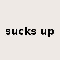 sucks up是什么意思