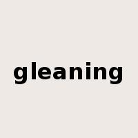 gleaning是什么意思