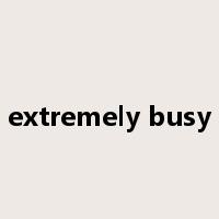 extremely busy是什么意思