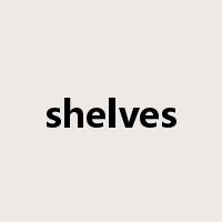 shelves是什么意思