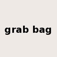 grab bag是什么意思
