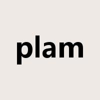 plam是什么意思