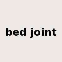bed joint是什么意思