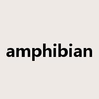 amphibian是什么意思