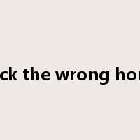 back the wrong horse是什么意思