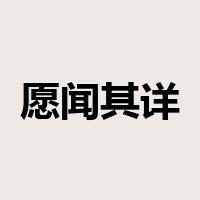 愿闻其详是什么意思