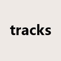 tracks是什么意思
